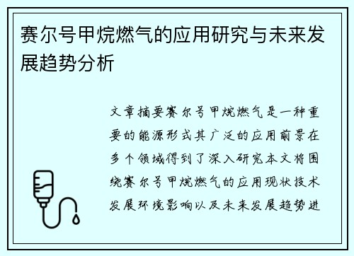 赛尔号甲烷燃气的应用研究与未来发展趋势分析